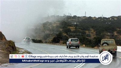 من متوسطة إلى خفيفة.. هطول أمطار متفرقة على أجزاء من مدينة الباحة وضواحيها