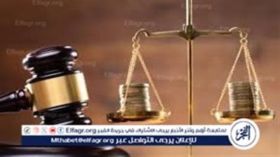 عقوبات قانونية للاستيلاء على أموال الهيئة القومية للتأمينات الاجتماعية وعرقلة الضبطية القضائية