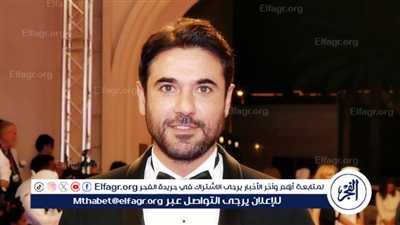 تأجيل استئناف الفنان أحمد عز على قرار إلزامه بدفع مصروفات مدرسية لتوأم زينة