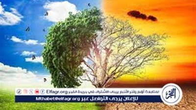 كيفية التكيف مع التغيرات الجوية: نصائح للحفاظ على صحتك خلال التقلبات الجوية