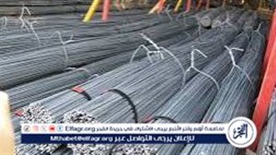 سعر الحديد اليوم السبت 16 مارس 2024 في الأسواق