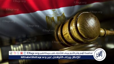 حماية المرأة في الدستور المصري: الضمانات القانونية لتعزيز حقوق المرأة وكرامتها 