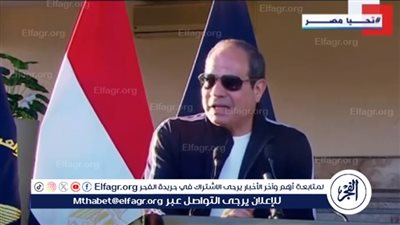 السيسي: نحذر من اتساع رقعة الحرب.. وأمام المجتمع الدولي فرصة لإقامة دولة فلسطينية