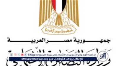 التضامن تكشف تفاصيل عمل المرصد الدرامي: نتابع 14 قضية