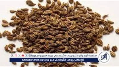 فوائد بذور الخلة.. وطريقة استخدامه