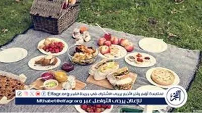 استعدادات الطعام لرحلة ترفيهية مع العائلة: استمتع بتجربة سفر لا تُنسى