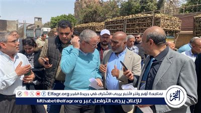 مصنع سكر أبوقرقاص يعود للحياة.. الفجر تنشر تفاصيل توريد أول أيام البنجر 