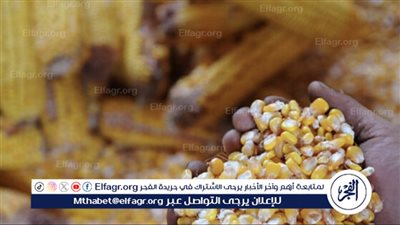 مفاجأة في أسعار الذرة اليوم الأربعاء 20 مارس 2024 في المنيا