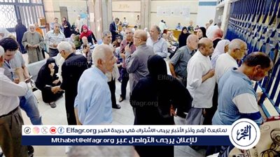 المعاشات في مصر لعام 2024.. الحالات التي تستدعي إسقاط المستحقين
