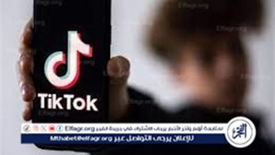 خبير أمن معلومات يدعو لتقنين التيك توك وليس حجبه (فيديو)