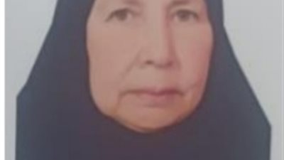 الأم المثالية لمبادرة 