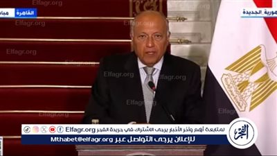 وزير الخارجية: مصر حذرت من التداعيات السلبية لتوسيع رقعة الأعمال العسكرية في رفح