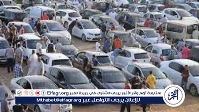 استقرار أسعار السيارات المستعملة في الأسواق المصرية مع بداية عام 2024