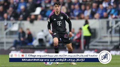 بافلوفيتش يغيب عن معسكر منتخب ألمانيا