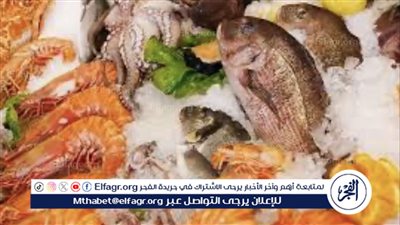 تحديثات أسعار السمك في الأسواق المحلية