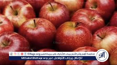 تراجع أسعار التفاح في الأسواق المحلية خلال شهر رمضان