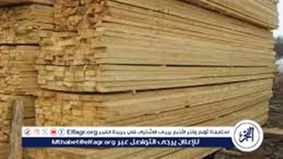 تحسن توافر الأخشاب وانخفاض أسعارها يعزز قطاع الأثاث في مصر