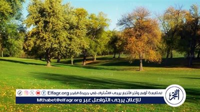 أهمية المساحات الخضراء بين المباني وداخل التجمعات السكنية 