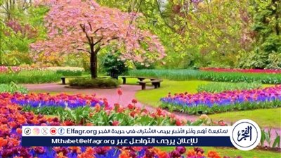 موعد شم النسيم 2024.. الاعتدال الربيعي 