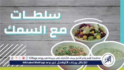 سلطات بجانب وجبة السمك المشوي 