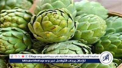  استكشاف فوائد الخرشوف: الخضار الصحي واللذيذ 