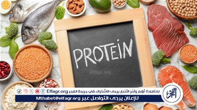  فوائد البروتينات: بناء الجسم وتعزيز الصحة العامة 