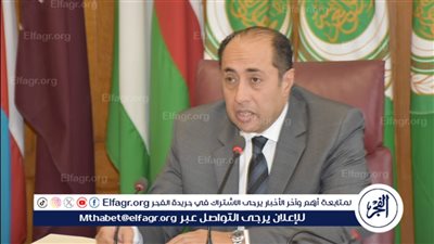 الأمين العام المساعد: الجامعة العربية تقف مع لبنان بشكل كامل (فيديو) 