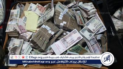 استولوا على 2 مليون جنيه.. الأمن يضبط المتهمين بالنصب على المواطنين بالقليوبية