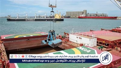  ميناء دمياط: وصول رصيد صومعة القمح إلى 13 ألف طنًا في مخازن القطاع الخاص