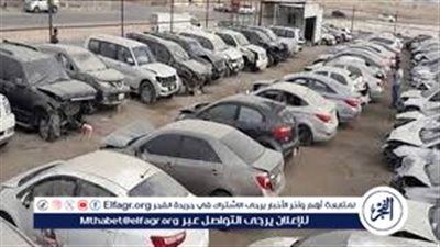 تفاصيل مزاد سيارات جمارك سفاجا