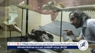 أكبر دولفين نهرى فى العالم.. قصة اكتشاف كائن عاش قبل 16 مليون عاما