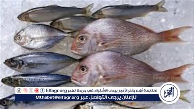 تراجع أسعار السمك في الأسواق المصرية اليوم الثلاثاء 26 مارس 2024