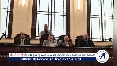  المشدد 6 سنوات لسائق لاستعراضه القوة وحيازة مخدرات في الإسكندرية 