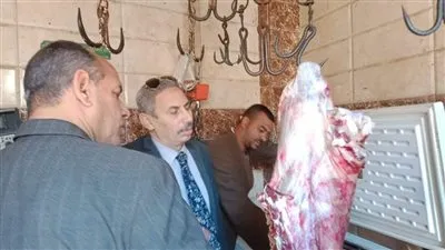 تموين المنيا يضبط 86مخالفة متنوعة خلال حملات على المخابز البلدية والأسواق