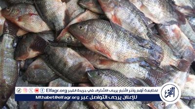 19 اختصاصا لجهاز حماية وتنمية البحيرات والثروة السمكية.. تعرف عليها