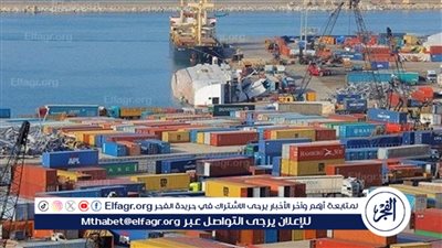 شعبة المستوردين تكشف سبب ترك البضائع في الموانىء: المستورد لا حول له ولا قوة