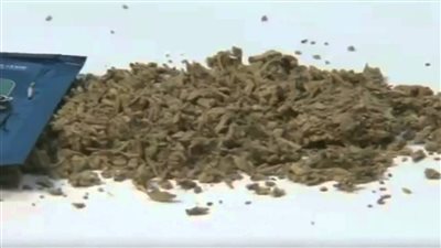 حبس سيدة لحيازتها مخدر الحشيش في الوراق