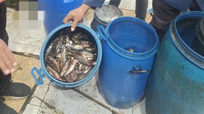 ضبط 2 طن لحوم ودواجن وأسماك مجهولة المصدر وغير صالحة للاستهلاك الآدمي بالمنوفية 