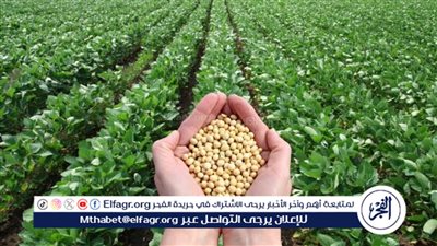 بعد إقراره.. تعرف على أهداف وتعديلات قانون الزراعة لحماية الأمن الغذائي (تفاصيل)