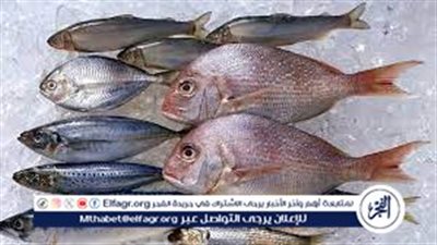 تراجع أسعار السمك والجمبري في الأسواق المحلية اليوم السبت