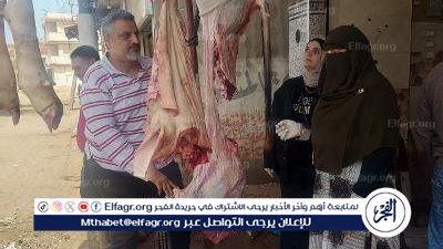 تفاصيل إحالة 267 محضرا حررتها لجان الرقابة علي الأسواق بالدقهلية للنيابة العامة