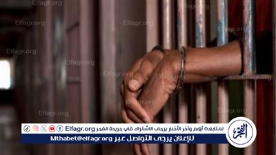 ما عقوبة زراعة الأعضاء بالتحايل؟.. القانون يجيب