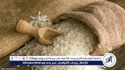 تحديث اسعار الارز الشعير اليوم الاحد 31 مارس 2024