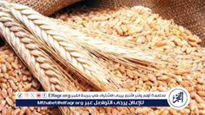 عاجل: مفاجأة كبيرة في سعر القمح اليوم الاثنين 1 ابريل 2024