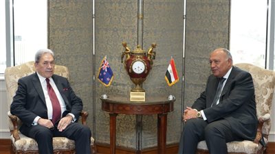 شكري ووزير خارجية نيوزيلندا يناقشان مساعي مصر لتيسير نفاذ المساعدات الإنسانية لغزة
