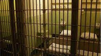 بعد حصوله على المؤبد.. ننشر أقوال المتهم بقتل نجل عمه بسبب 4 آلاف جنيه 