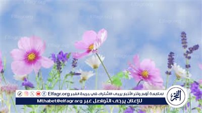 الملابس الصيفية والشتوية.. حلول لاختيار الملابس المناسبة في فصل الربيع