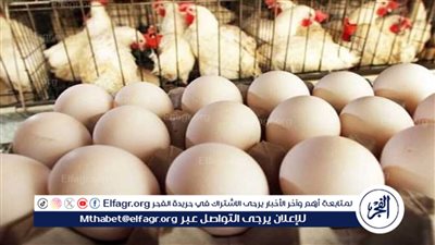 أسعار الدواجن والبيض بالسوق المحلي في نهاية تعاملات اليوم الخميس