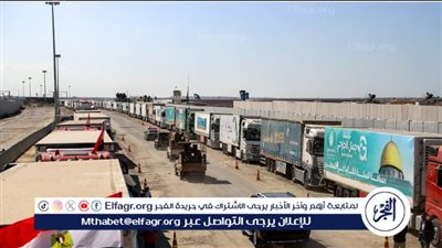 تفاصيل مواصلة إدخال المساعدات المصرية لغزة من معبر كرم أبو سالم (فيديو)
