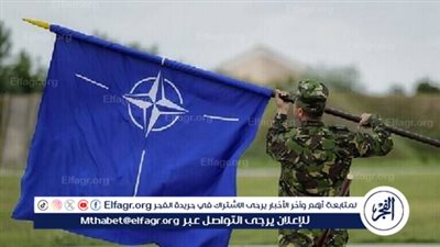 نائب سابق لسكرتير عام الناتو: لا توجد حاجة لوجود أوكرانيا في الحلف